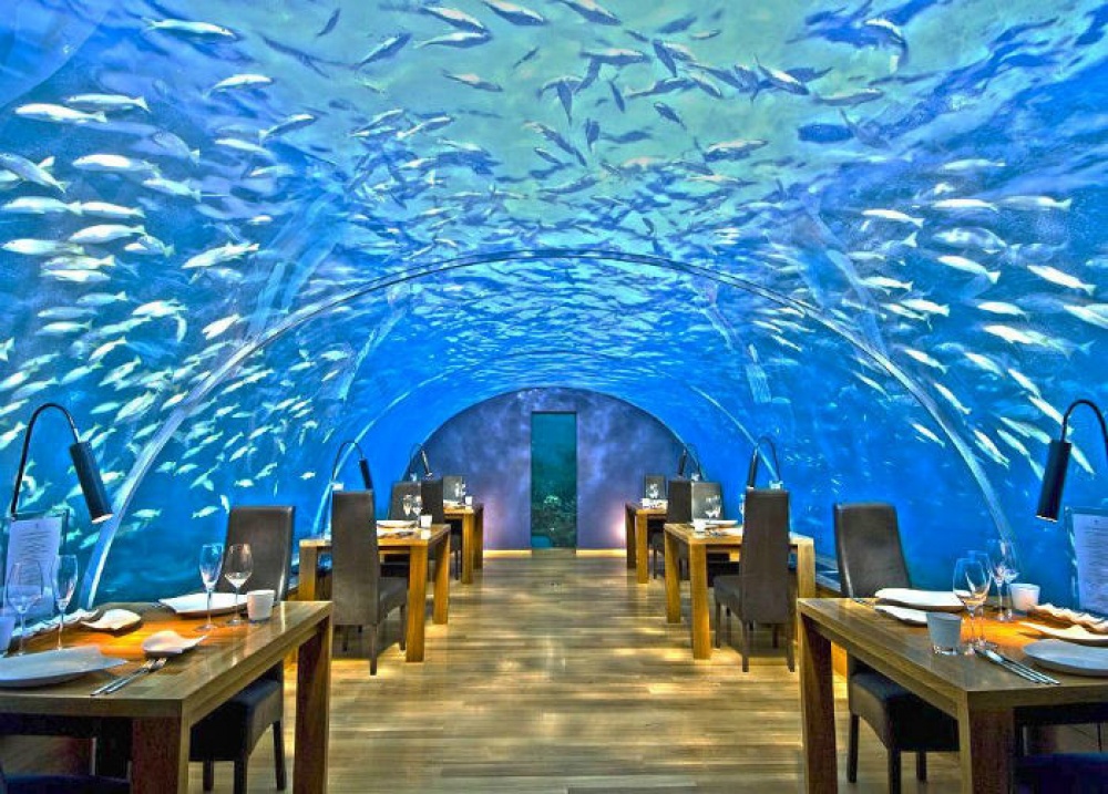 498255-ithaa-undersea-restaurant-1000-ab093a3947-1475746435