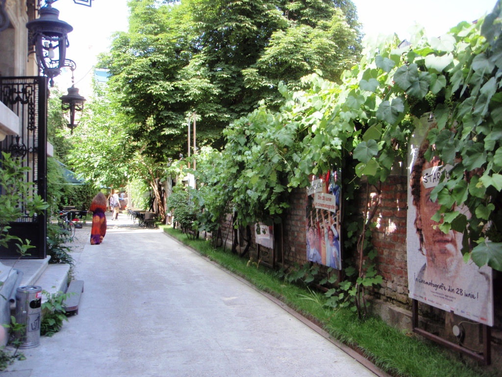 Gradina Verona 3