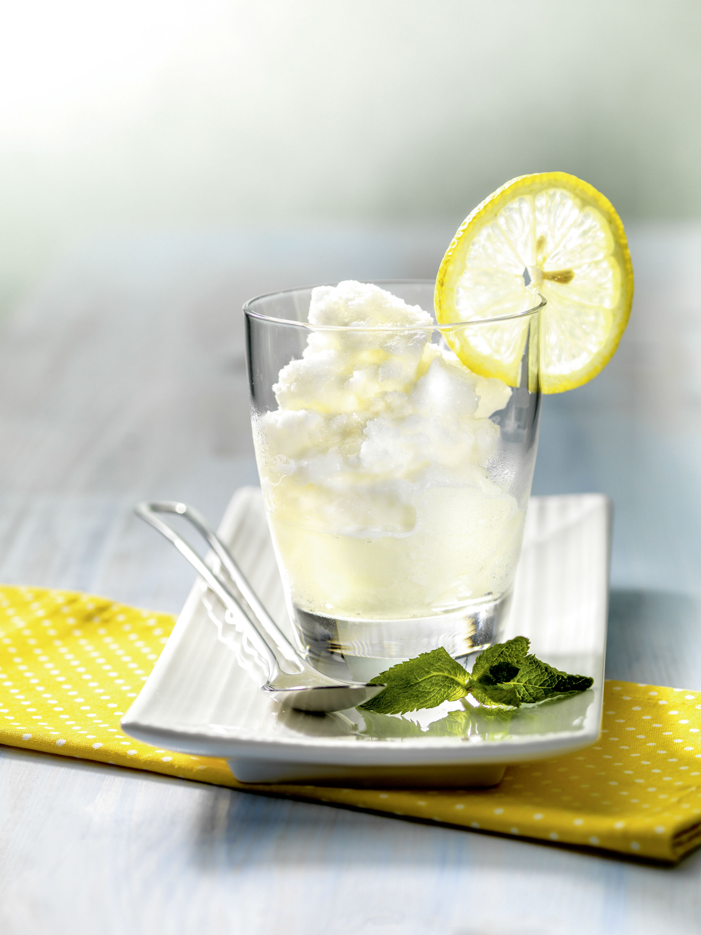 lemon_sorbet_id39597_portrait-hpr-1