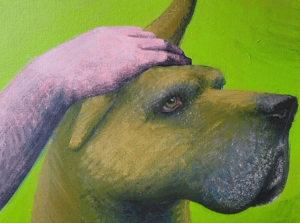 Art Safari
