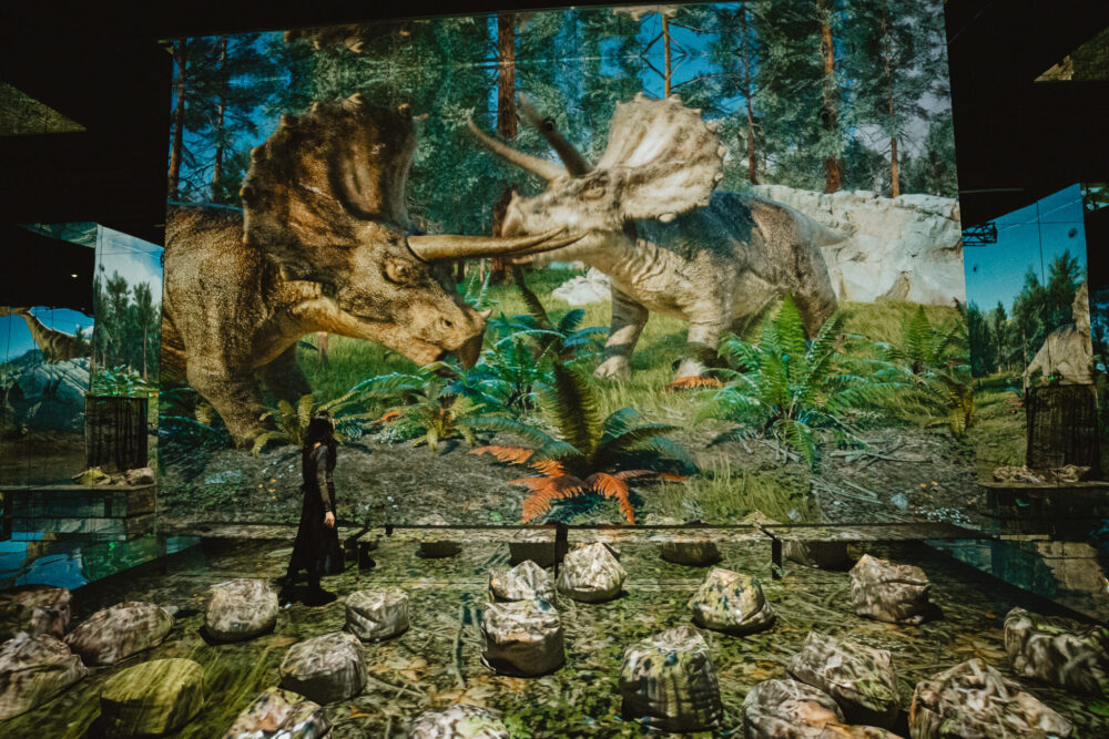 MINA – Museum of Immersive New Art