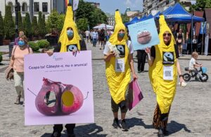 VegFest Iasi