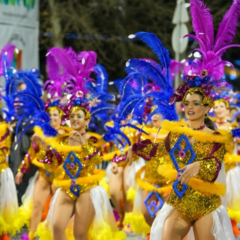 Carnavalul din Rio