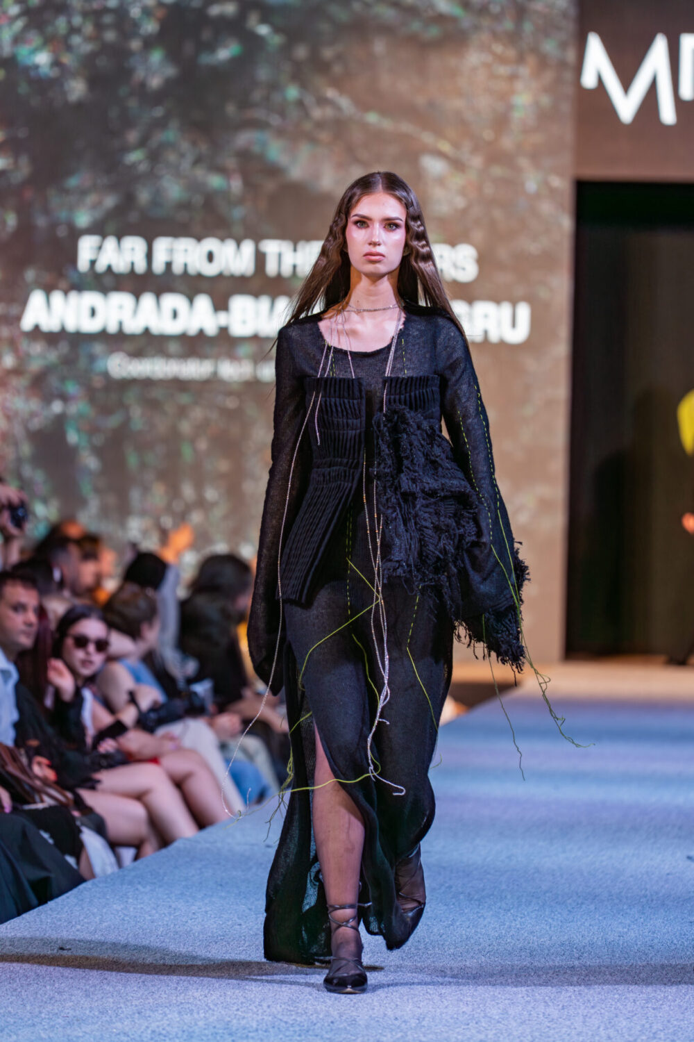 Andrada Negru - Far from the Others