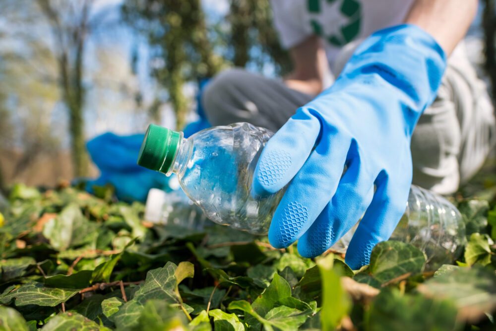gunoi reciclare