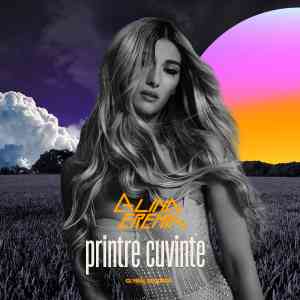 printre cuvinte
